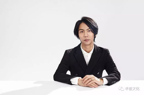 格莱美级声乐技术 IVA-SLS训练体系与艺人声乐特训的文化经纪人服务